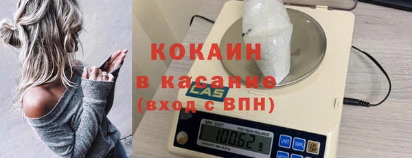 сатива Богданович