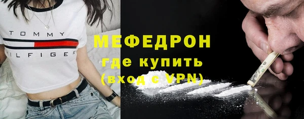 шишки Богородицк