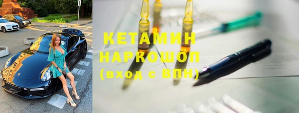 шишки Богородицк