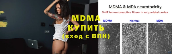сатива Богданович