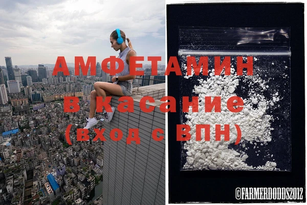 шишки Богородицк