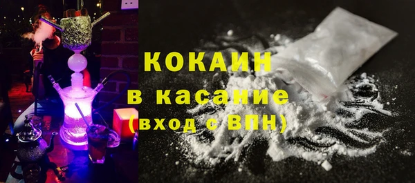 сатива Богданович