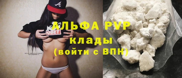 шишки Богородицк