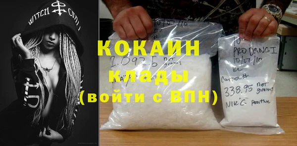 шишки Богородицк