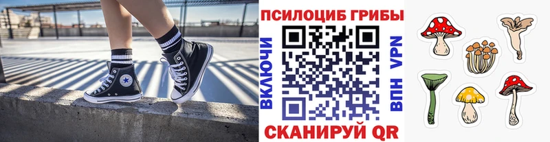 Псилоцибиновые грибы GOLDEN TEACHER  Купить закладки  Донецк 